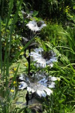 Unique Water Features formed from Copper and Steel